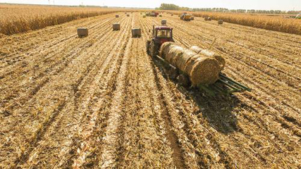 驻村工作队科技支农 秸秆还田+生物有机肥，为农田注入绿色动能