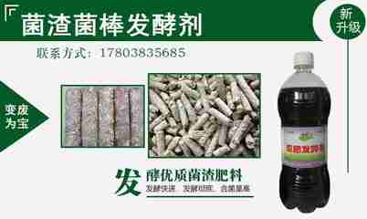 微生物菌剂助力蘑菇渣变废为宝 生物有机肥料研发中的成本与效益分析