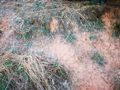 根力多 从占山为“王”到生物有机肥领跑者——一个年轻小伙的23年研发“逆袭”